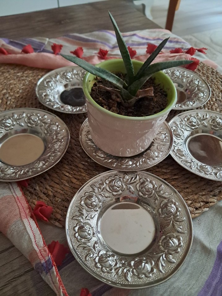 Parlak çay Tabak Seti - Görsel 2