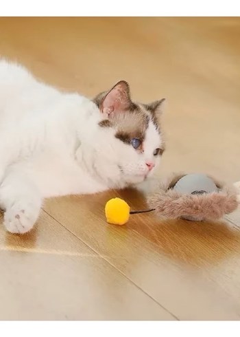 Renkli Tüylü Kedi Oyuncağı Top - Görsel 4