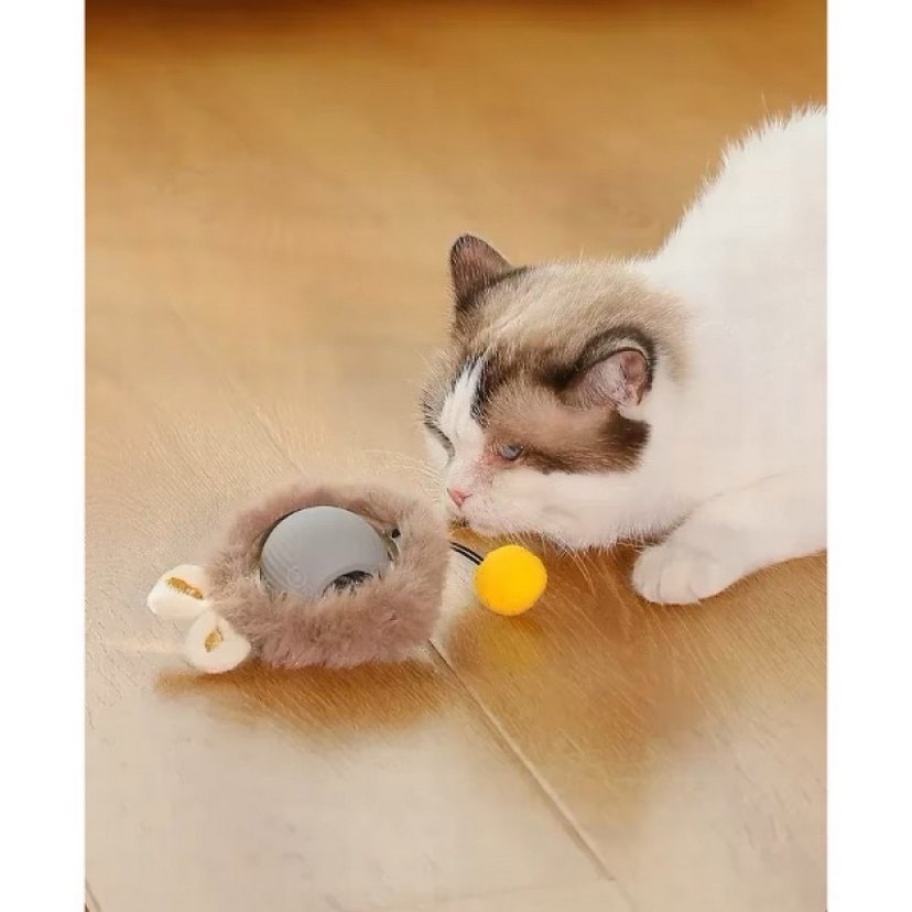 Renkli Tüylü Kedi Oyuncağı Top - Görsel 2
