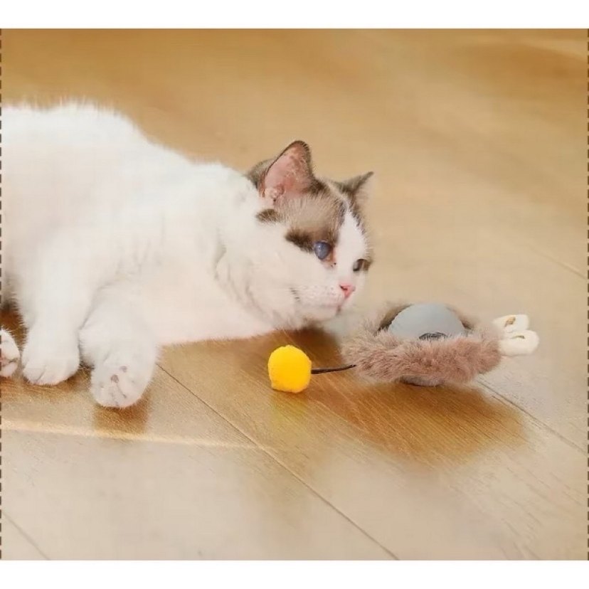 Renkli Tüylü Kedi Oyuncağı Top - Görsel 4