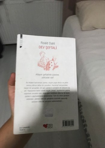 Roald Dahl - Dev Şeftali - Görsel 2