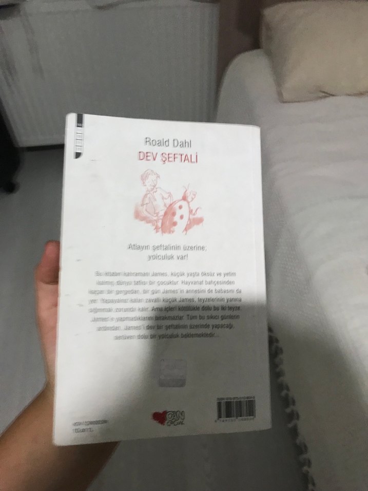 Roald Dahl - Dev Şeftali - Görsel 2