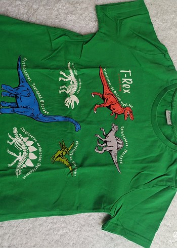 Erkek Çocuk Renkli T-Rex Baskılı Tişört - Görsel 2