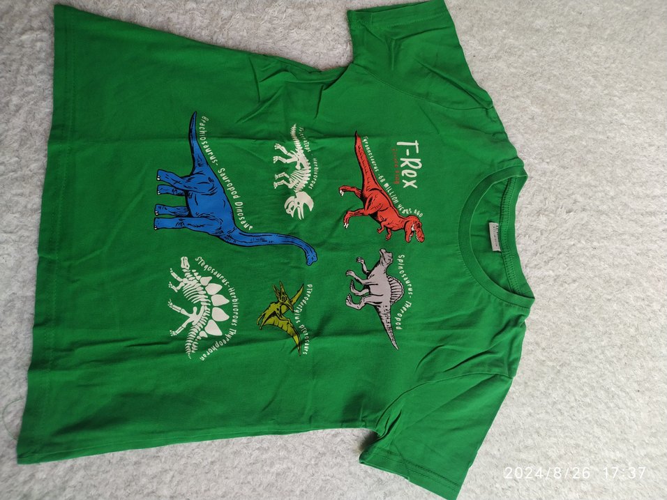 Erkek Çocuk Renkli T-Rex Baskılı Tişört - Görsel 2