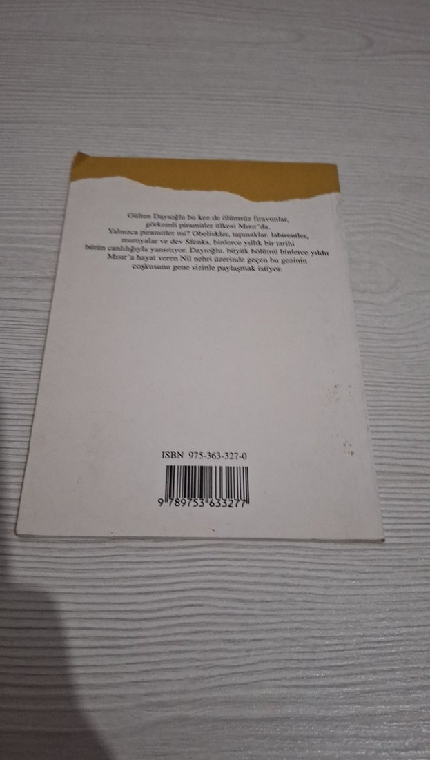 Mısır'a Yolculuk - Gülten Dayıoğlu - Görsel 3