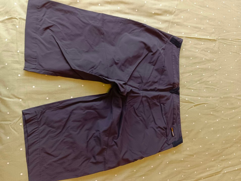 JACK WOLFSKIN marka erkek yazlık şort - Görsel 2