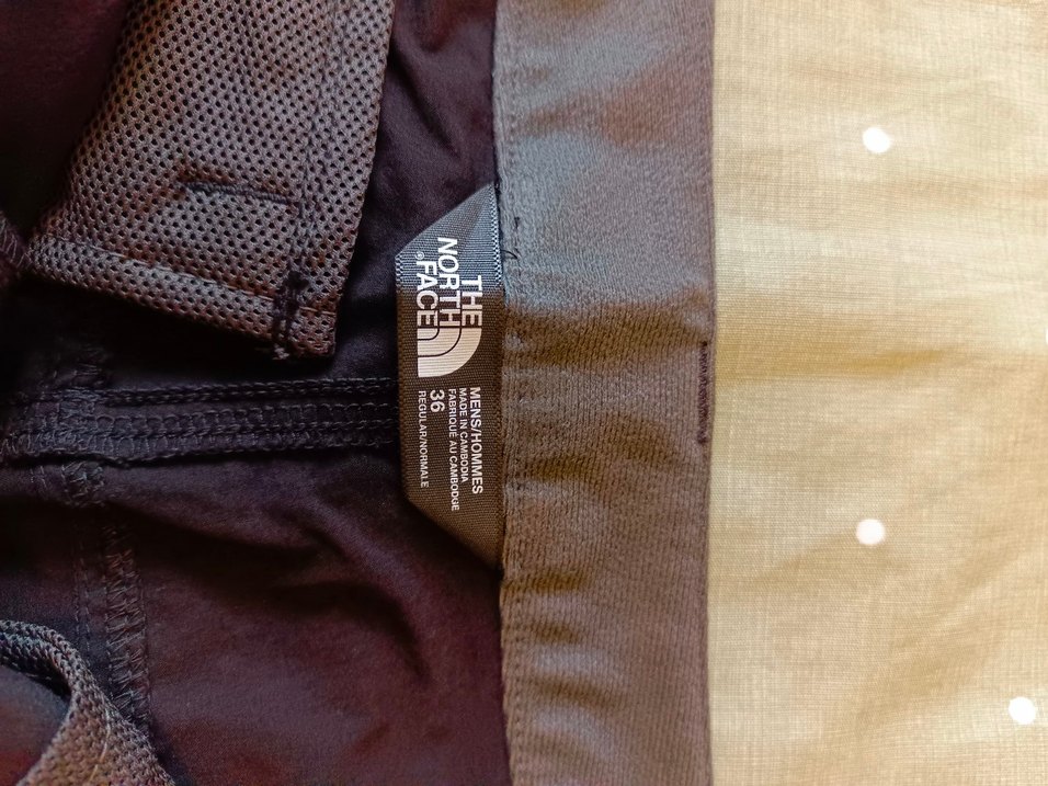 THE NORTH FACE marka erkek yazlık şort - Görsel 3