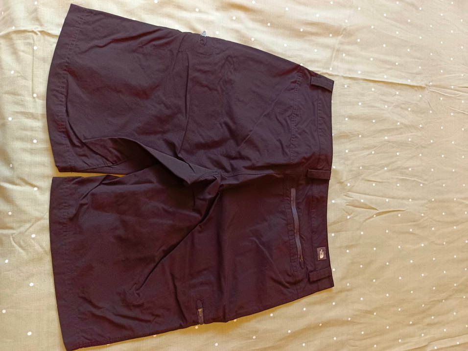 THE NORTH FACE marka erkek yazlık şort - Görsel 2