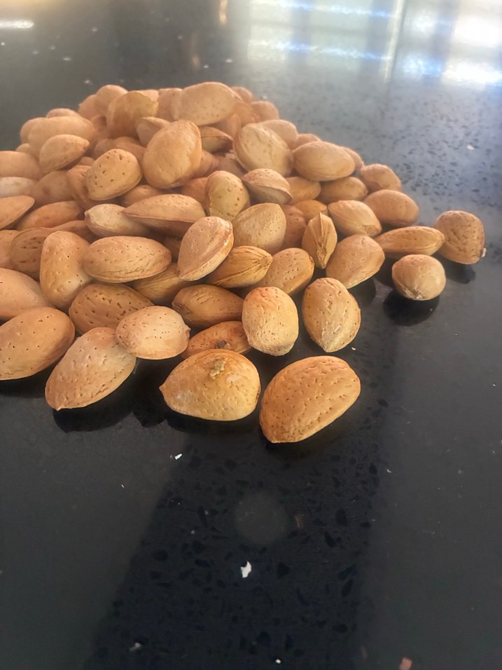 Kavrulmamış Badem Çiğ Kabuklu - Görsel 2