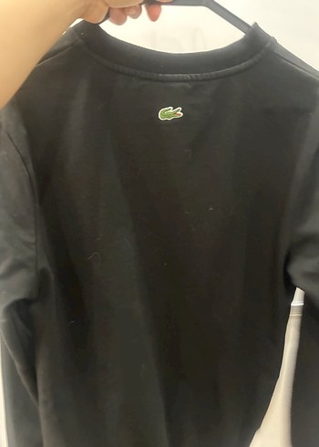 Siyah Baskılı Lacoste Erkek Sweatshirt - Görsel 4