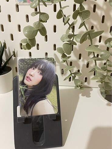 Momo orjinal pc