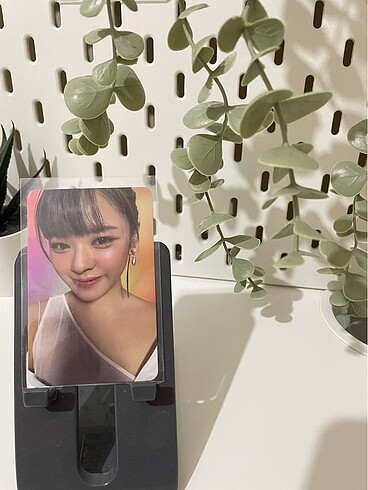 Jeongyeon orjinal pc