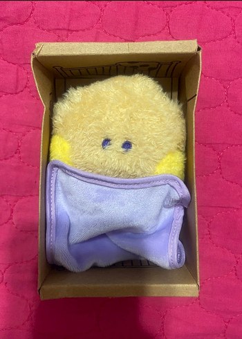 shooky
