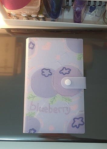 Blueberry büyük binder 120 pc