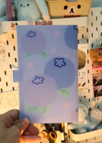 Blueberry büyük binder 120 pc