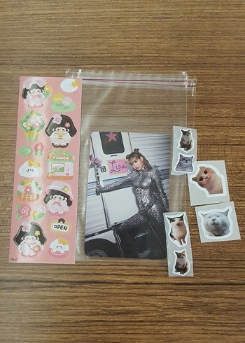 Mini Şeffaf Binder Photo Albüm - Görsel 4