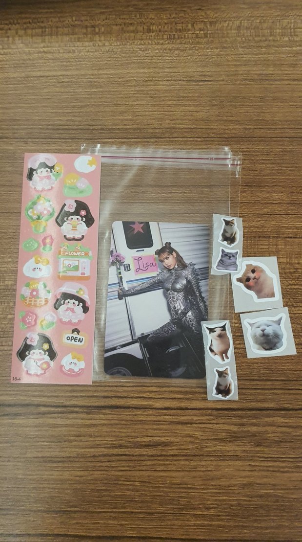 Mini Şeffaf Binder Photo Albüm - Görsel 4