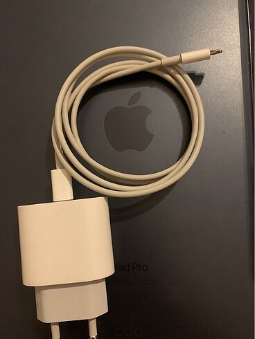 Apple şarj aleti