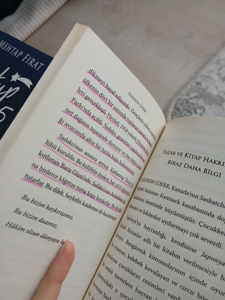 Sadako ve Kağıttan Bin Turna Kuşu - Görsel 2