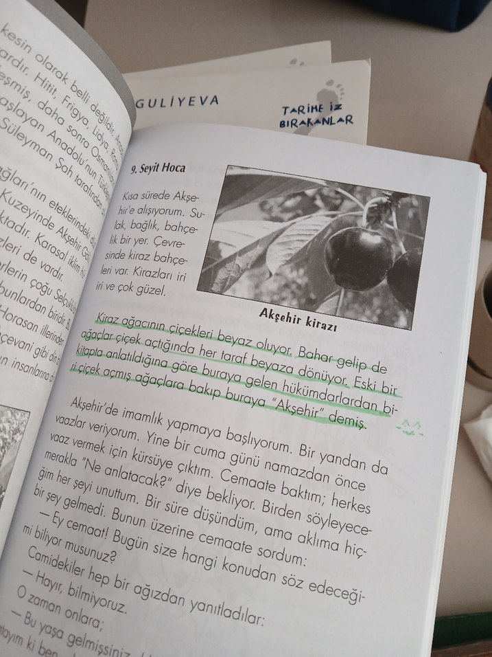 Nasrettin Hoca - Görsel 2