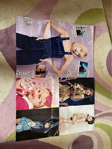 Lisa Poster