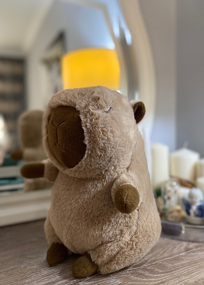 Capybara - Görsel 2