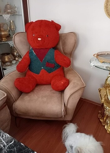 Peluş Büyük Ayı