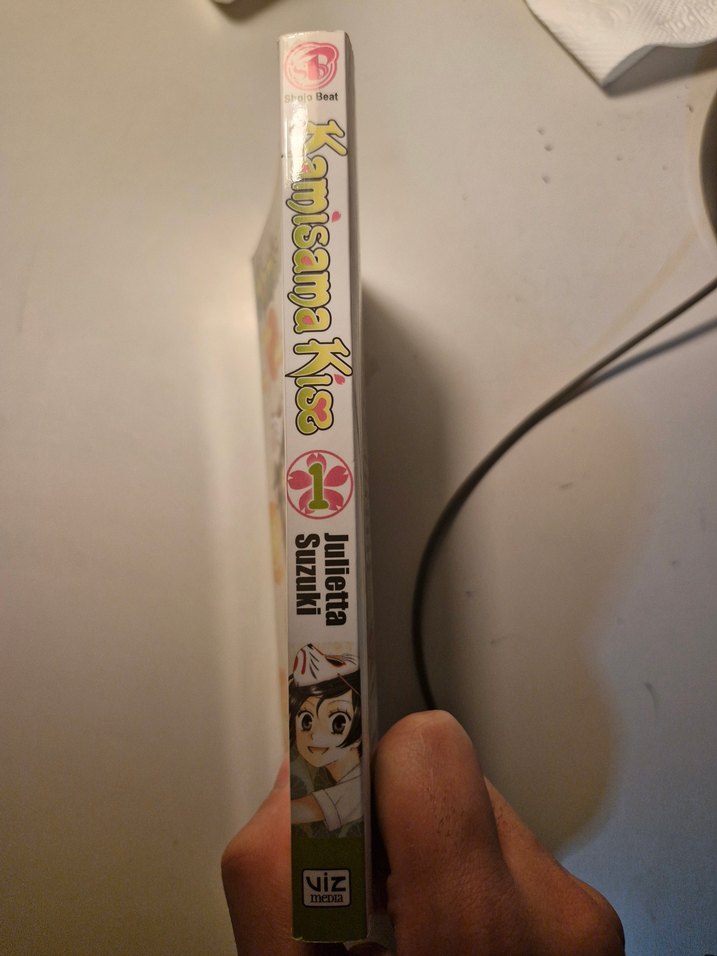 Kamichama Kiss Cilt 1 - Julietta Suzuki - Görsel 2