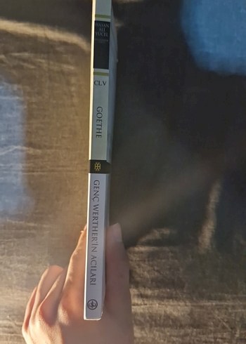 Genç Werther'in Acıları - Johann Wolfgang von Goethe - Görsel 3