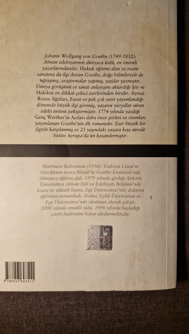 Genç Werther'in Acıları - Johann Wolfgang von Goethe - Görsel 2