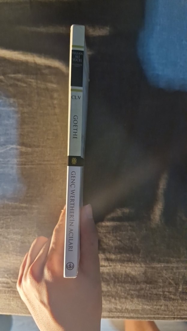 Genç Werther'in Acıları - Johann Wolfgang von Goethe - Görsel 3