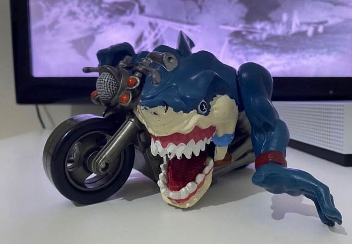 Motu Street Shark