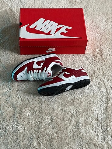 Nike Nike Sb Premium ayakkabı unisex