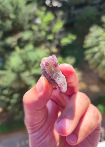 Diğer Pyrope Garnet Rodolit Raw Rare Doğal Taş