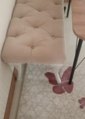 Beden ten rengi Renk Bej Pastel Renkli Yüksek Sandalye