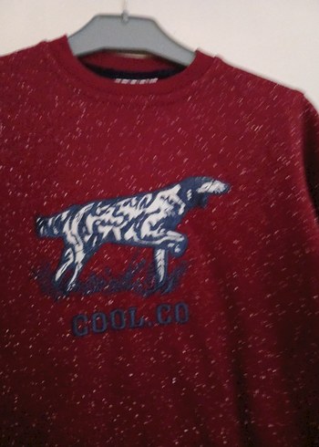 Cool Club Bordo Uzun Kollu Erkek Sweatshirt