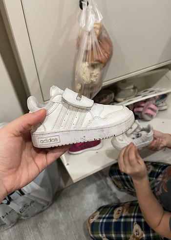 Adidas 24