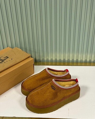 Ugg tazman