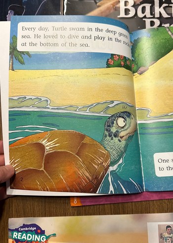 Çocuk Kitapları Seti -Hayvanlar ve Doğa Temalı ingilizce 12 adet - Görsel 2