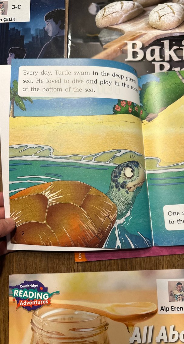 Çocuk Kitapları Seti -Hayvanlar ve Doğa Temalı ingilizce 12 adet - Görsel 2