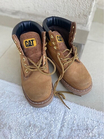 36 Beden Cat Bot