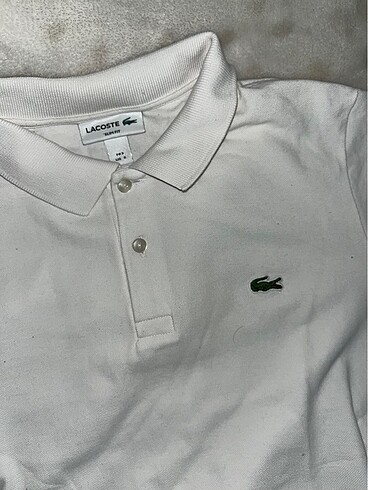 Lacoste