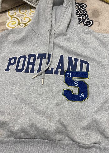 Kadın Gri Kapüşonlu Baskılı Sweatshirt - Görsel 3