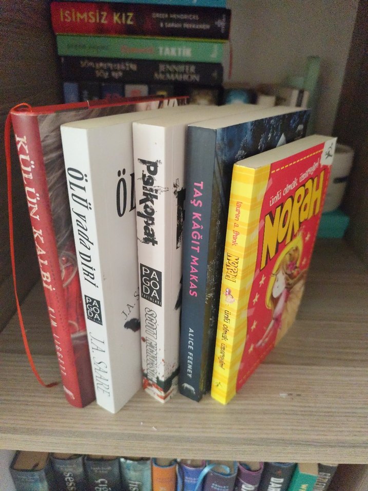 GR Yayınları Roman Seti - Görsel 2