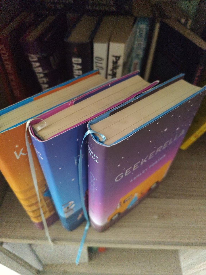 Anna Day - Darağacı Dansı Romanı ve Geekerella Serisi - Görsel 2