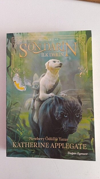 Son Darin kitabı