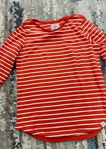 Diğer Standart Beden