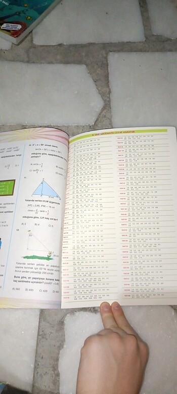  Beden Yaprak test
