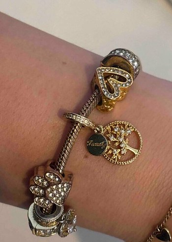 Pandora Family Charm