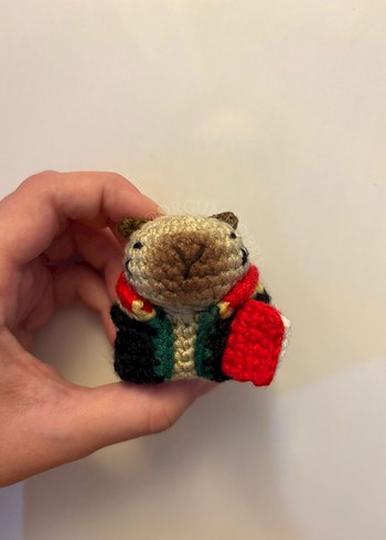 Avukat capybara örgü